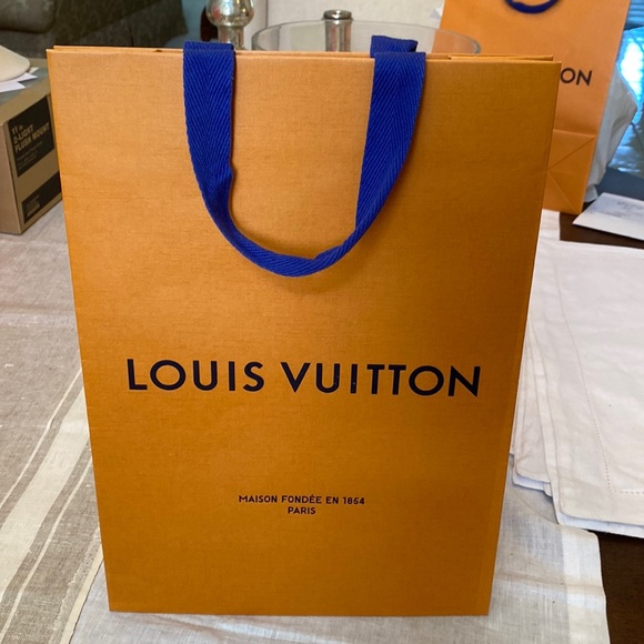 Louis Vuitton Other - Louis Vuitton shopping bag